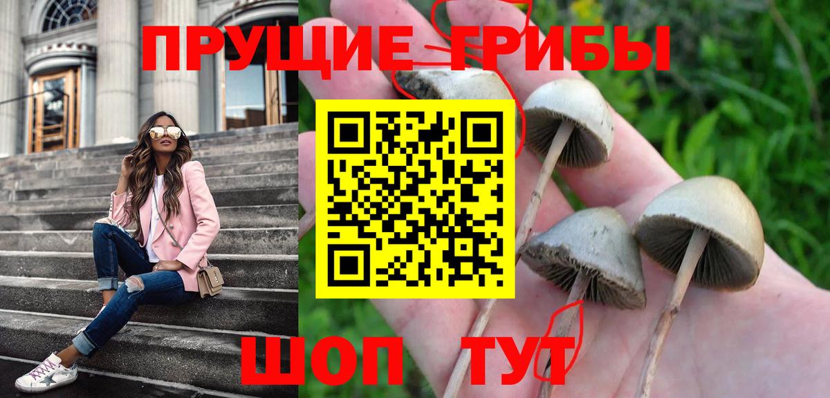 Псилоцибиновые грибы Cubensis  Галлюциногенные грибы ЛСД  Миасс  Вход с VPN 